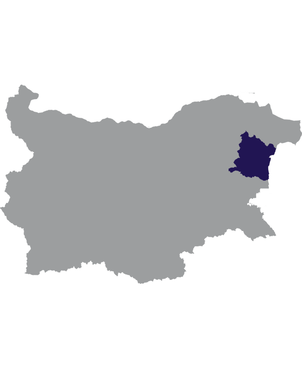 Landkaart Bulgarije grijs met oblast Varna donkerblauw op transparante achtergrond - 600 * 733 pixels